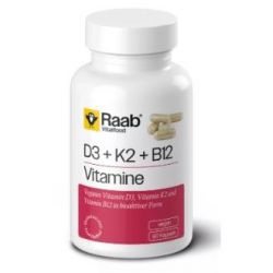 VITAMINA D3+K2+B12 460mg 60 cps VEGAN SG