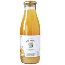 LIMONADA CON MANZANA-ZENZERO senza zucchero aggiunto 750 ml ECO