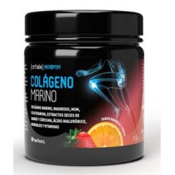 ARTISIX COLLAGENE MARINO 300 gr