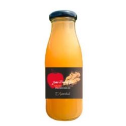 SUCCO DI MELE ZENZERO PREMIUM 250 ml BIO