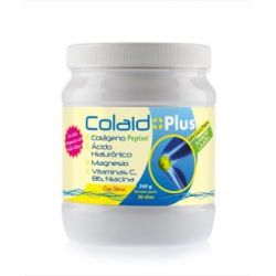 COLAID PLUS limone 360 gr.