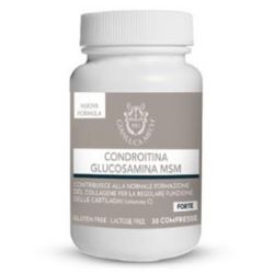 CONDROITINA GLUCOSAMINA MSM 30cpr.