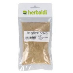 JENGIBRE polvere 100gr.