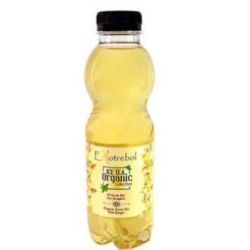 TE VERDE con zenzero 500ml. BIO