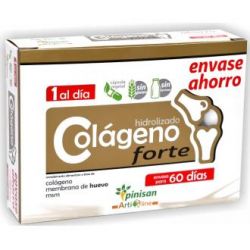COLAGENO FORTE 60cps. ARTILINE
