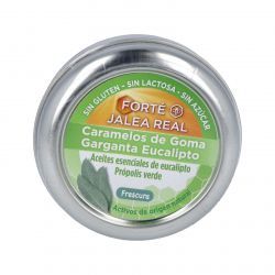 FORTE Caramelle DI GOMMA eucaliptus 45ud.