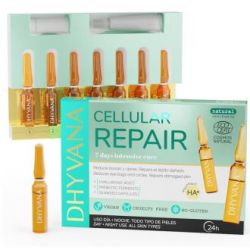 CELULAR REPAIR (riparazione notturna intensa) 7amp.