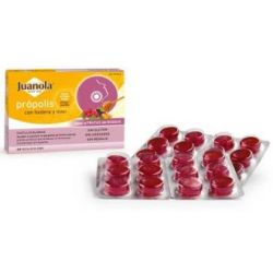 JUANOLA PAST PROPOLIS edera-miele-frutta bosco 24ud