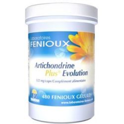 ARTICHONDRINE PLUS EVOLUTION 480cps.