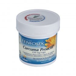 CURCUMA PROACTIF 90cps.