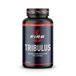 TRIBULUS TERRESTRIS 90saponins 60cps.