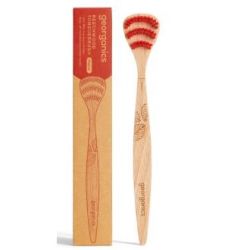 CEPILLO LINGUAL legno di faggio.