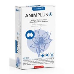 ANIMPLUS 42cps - INTERSA
