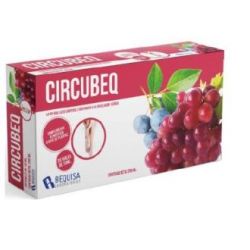 CIRCUBEQ 20viales. - BEQUISA