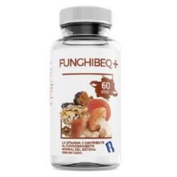 FUNGHIBEQ 60cps - BEQUISA