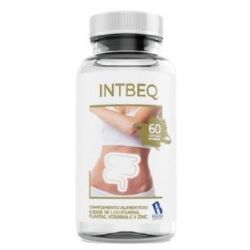 INTBEQ 60cps - BEQUISA