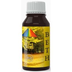 BETH 21 250ml. - BEQUISA