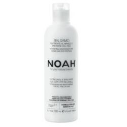CONDIZIONATORE NUTRITIVO con mango 250ml.