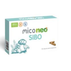 MICO NEO SIBO 60cps.
