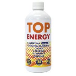 TOP ENERGY gusto limone 500ml.