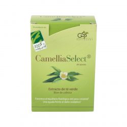 CAMELIASELECT 60cps.