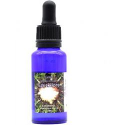 SHAMPOO SOLIDO ENERGIZZANTE UOMO 40 GR BIO