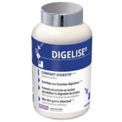 DIGELISE 90cps - INELDEA