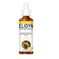 LARCH 20ml. - ELIDYN