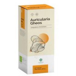 AURICULARIA GHEOS 90cps.
