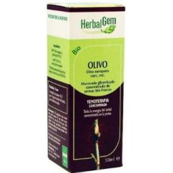 OLIVO macerato glicerino 50ml.