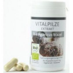CHAMPIÑON DEL SOLE (agaricus blazei) BIO 60cps.