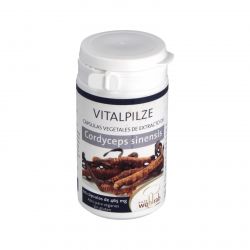 CORDYCEPS 60cps - PILZE WOLHRAB