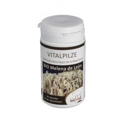 MELENA DI LEONE (hericium) BIO 60cps.