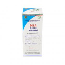 MSA RIBES NIGRUM gemme ribes nero 50ml.
