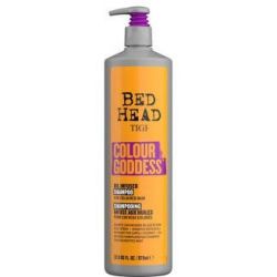 COLOR GODDESS SHAMPOO PER CAPELLO TINTO NA.