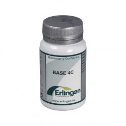 BASE 4C 60cpr - ERLINGEN