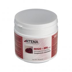 REISHI-GANODERMA-MRL 250gr.in polvere