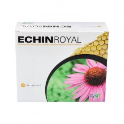 Royal Echin 20 Amp.
