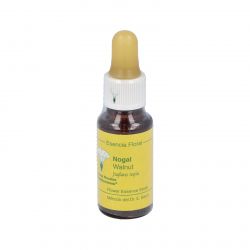 WALNUT E.F.Mediterraneo 20 ml.