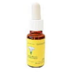 PINE E.F.Mediterraneo 20 ml.
