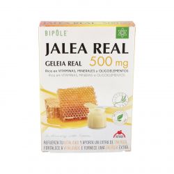 BIPOLE J.REAL FRUCTOSA 500mg 20amp