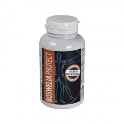BOSWELIA PROTECT 500mg. 45perlas