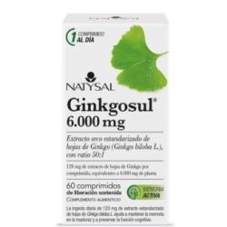 GINKGOSUL (disturbi circolatori) 60cpr.