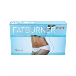 FT BRNR FORTE 20 amp.