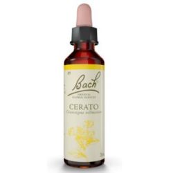 FIORI BACH CERATO ceratostigma 20ml.