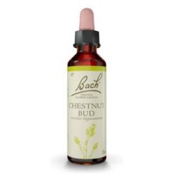 FLORES BACH CHESTNUT BUD germoglio castagno 20ml.