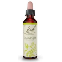 FLORES BACH CLEMATIS clematide 20ml.