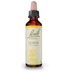FLORES BACH GORSE ginestra 20ml.