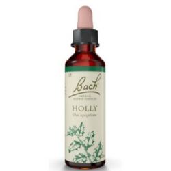 FLORES BACH HOLLY acebo 20ml.