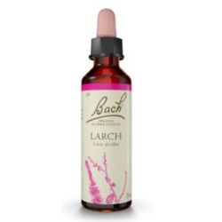 FLORES BACH LARCH alerce 20ml.